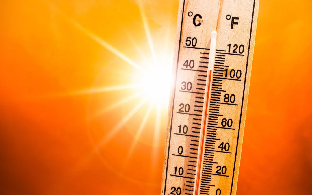 ¿Cómo afecta la ola de calor al funcionamiento del coche?
