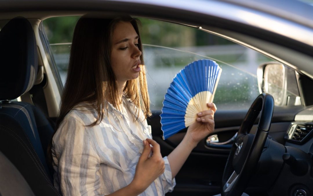 ¿Sabes cómo evitar el calor en tu coche este verano?
